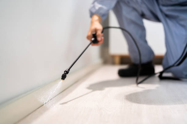 Licensed Mosquito Control service in Calumet City, IL - Nex Pest Control
