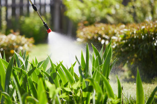 24/7 Emergency Mosquito Control experts in Calumet City, IL