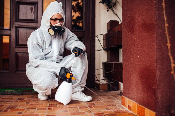 Reliable Mosquito Control contractor in Calumet City, IL by Nex Pest Control