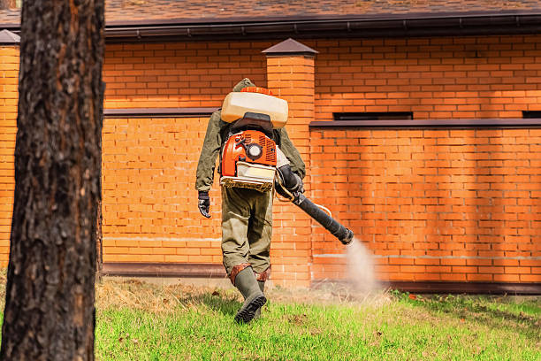 Trusted Emergency Pest Control service in Calumet City, IL - Nex Pest Control